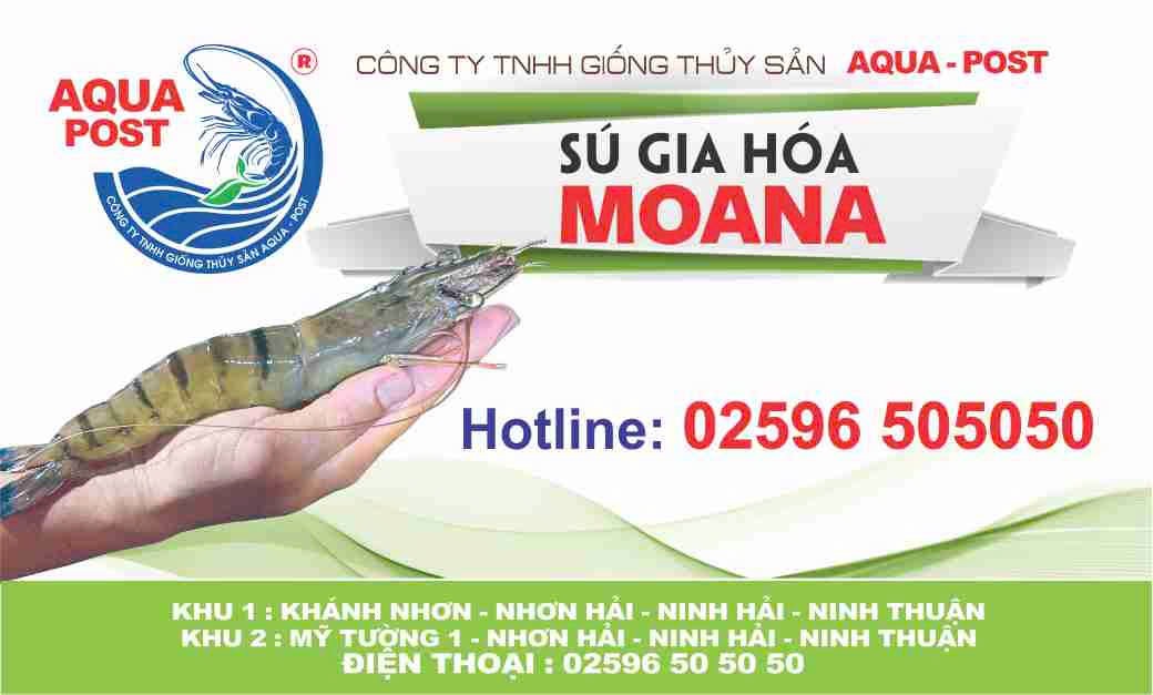 trang thai kich hoat ok or notOK